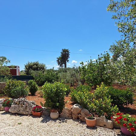 Baciati Dal Sole Apartman Martina Franca Kültér fotó