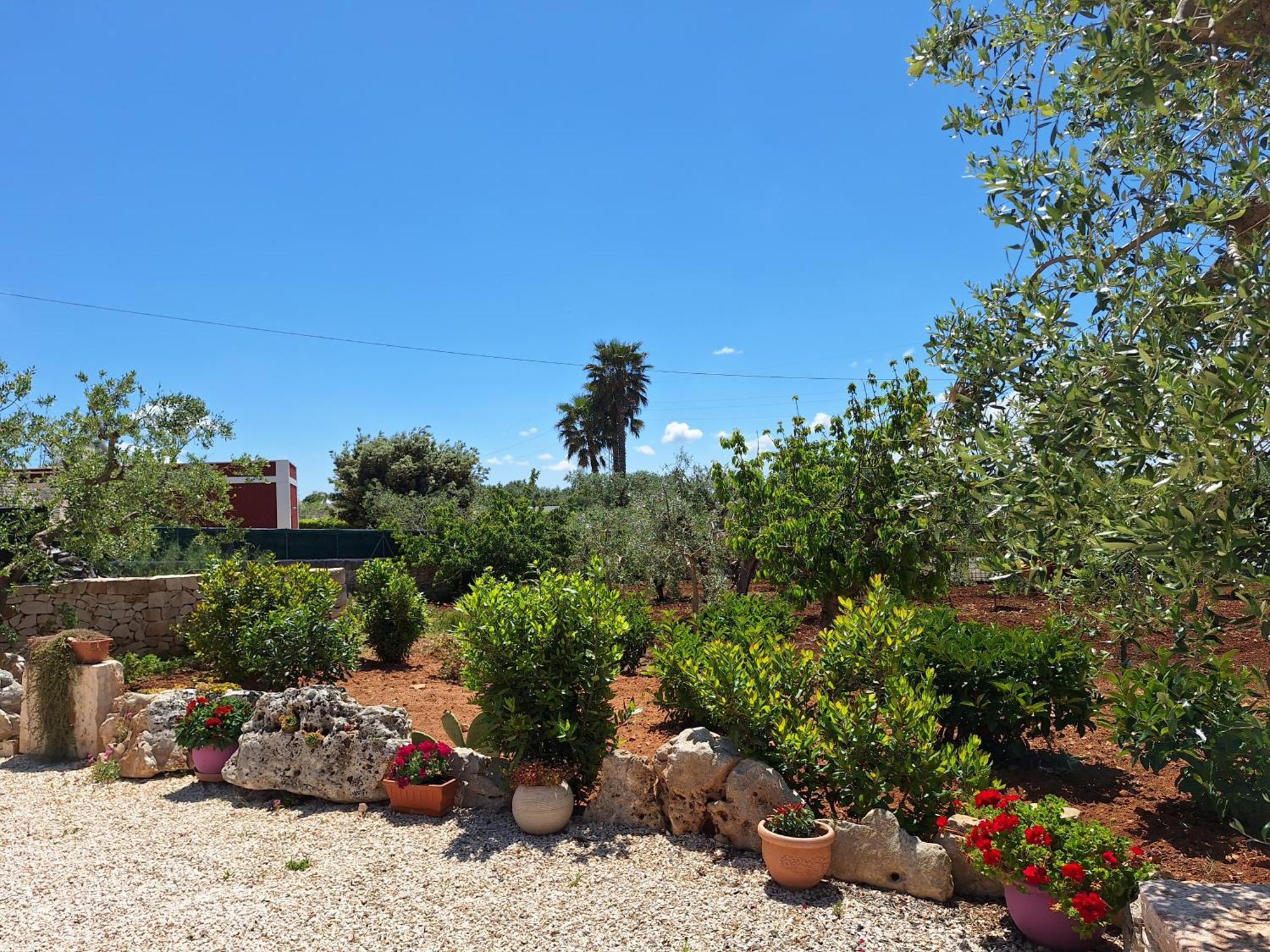 Baciati Dal Sole Apartman Martina Franca Kültér fotó
